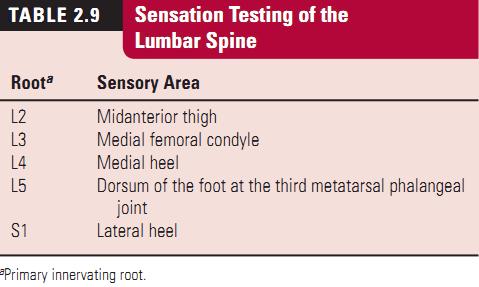 Examination of the Lumbar Spine