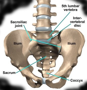 Coccyx Injections
